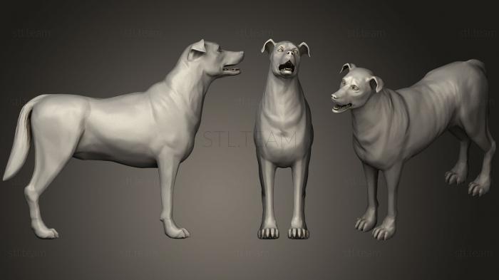 3D model Dog Collie D (STL)